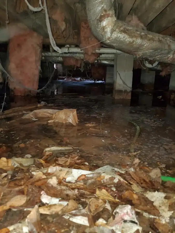 Crawl space flood assessment for Leak Detection & Repair in Bryan